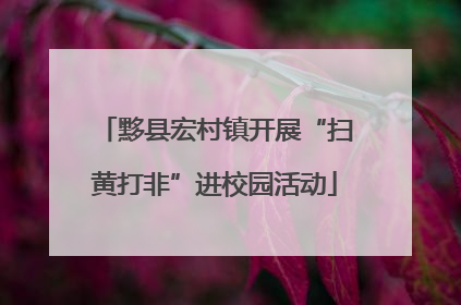 黟县宏村镇开展“扫黄打非”进校园活动